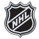 Kde můžeme sledovat přenosy z hokejové NHL?