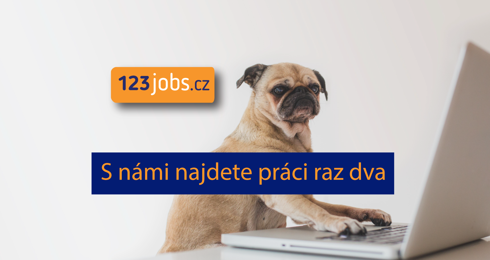 Jak hledat práci na 123jobs.cz